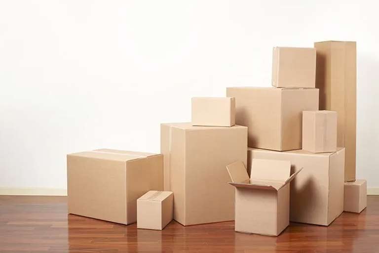Cardboard